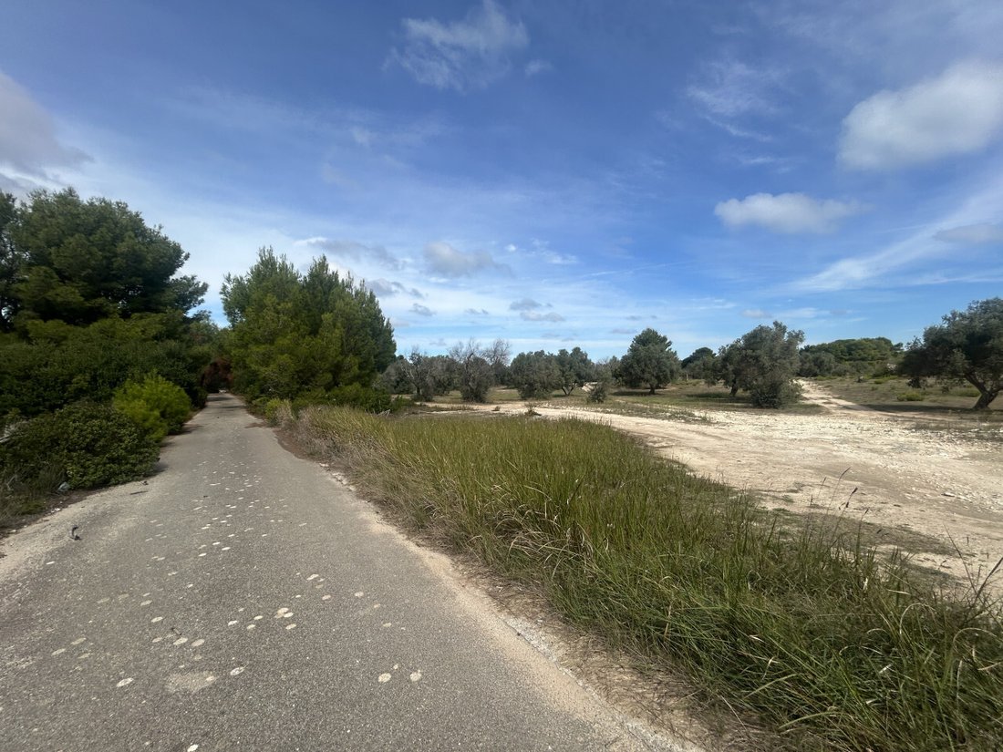 Land in Litorale Leccese, Lecce, Apulia 5 - 16596806