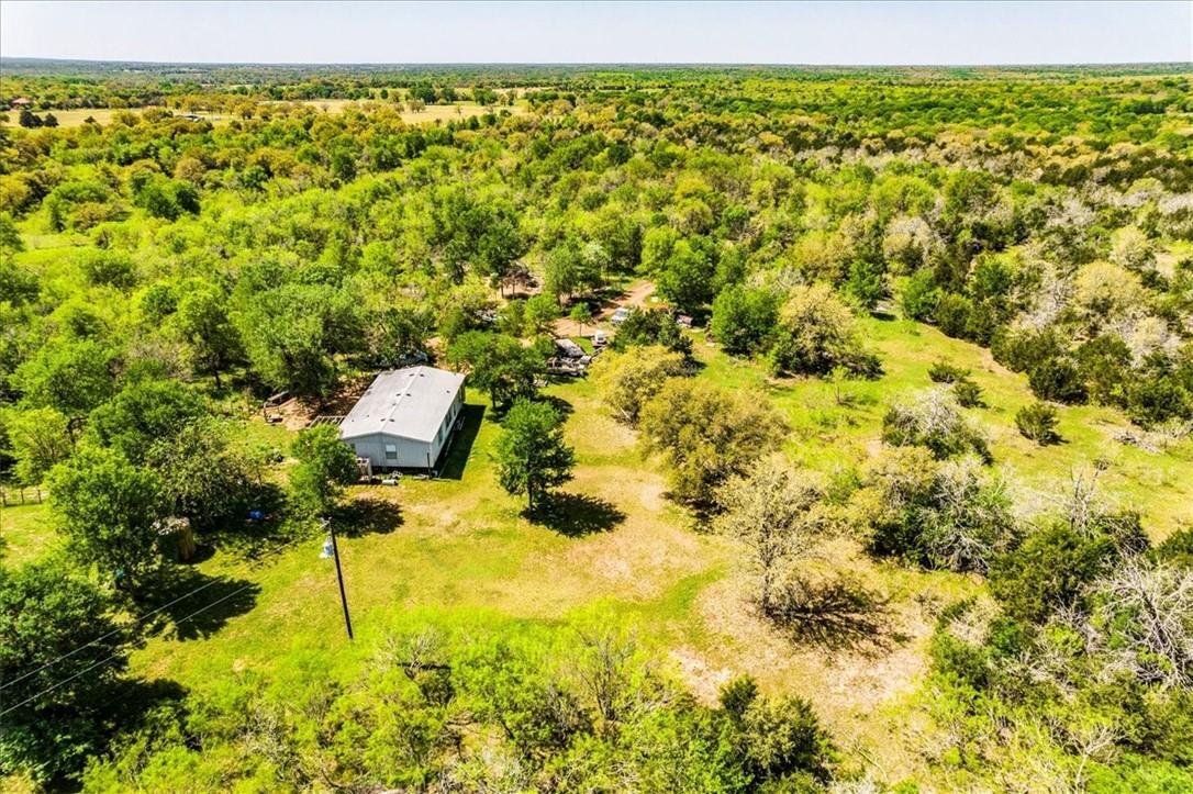 Cedar Creek, Texas, United States 4 - 16590034