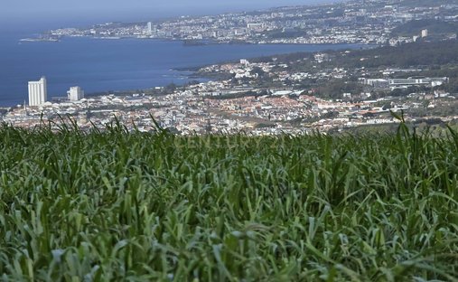 Land in Lagoa (Santa Cruz), Azores, Portugal 1