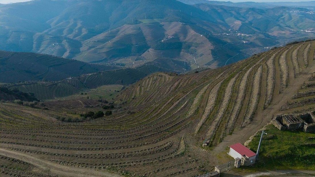 Farm Ranch in Ervedosa do Douro, Viseu District, Portugal 1 - 15171632
