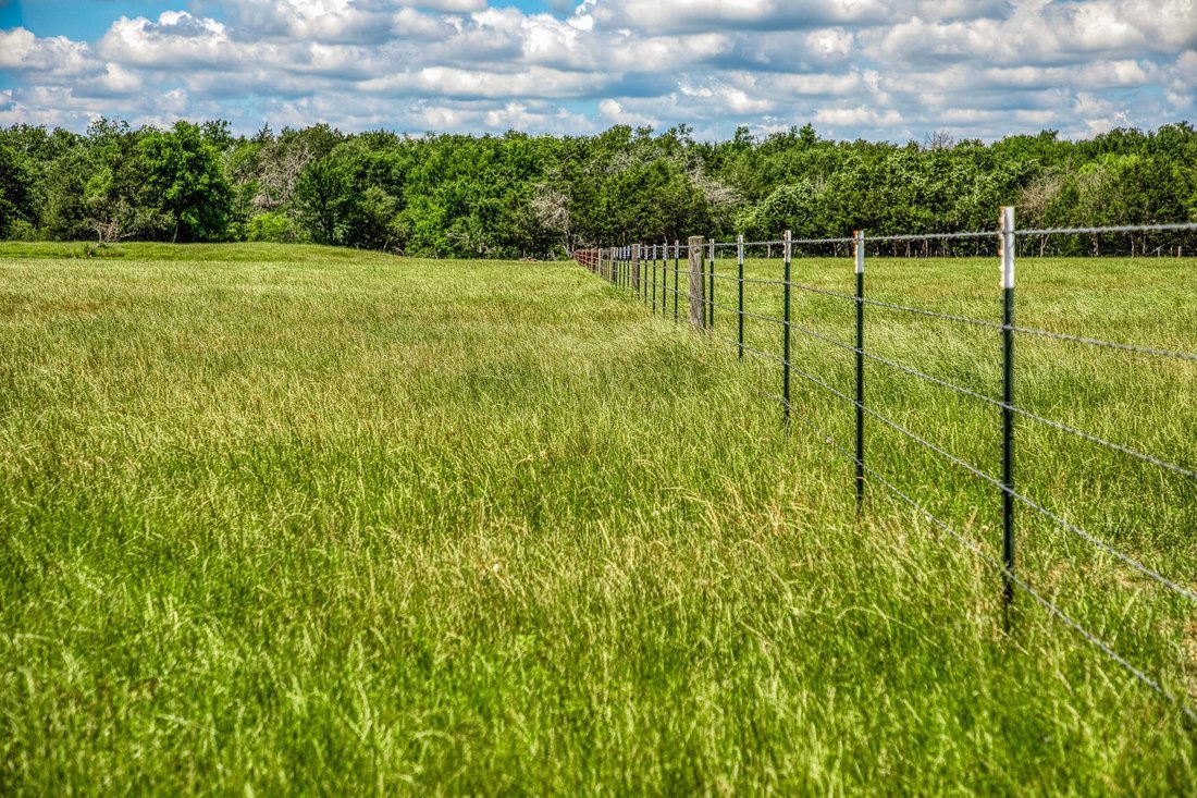 House in Mexia, Texas, United States 4 - 16589418