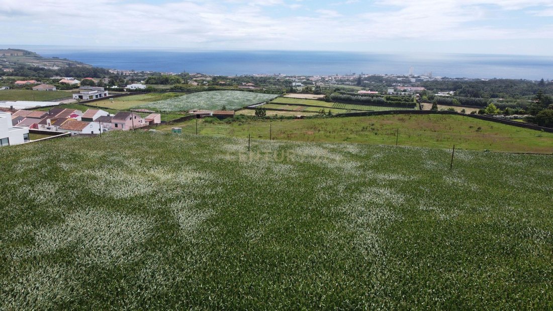 Land in Cabouco, Azores, Portugal 1 - 15331692