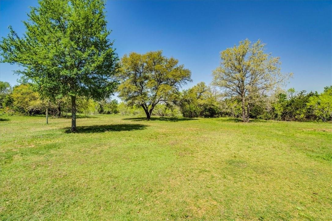Cedar Creek, Texas, United States 2 - 16590034