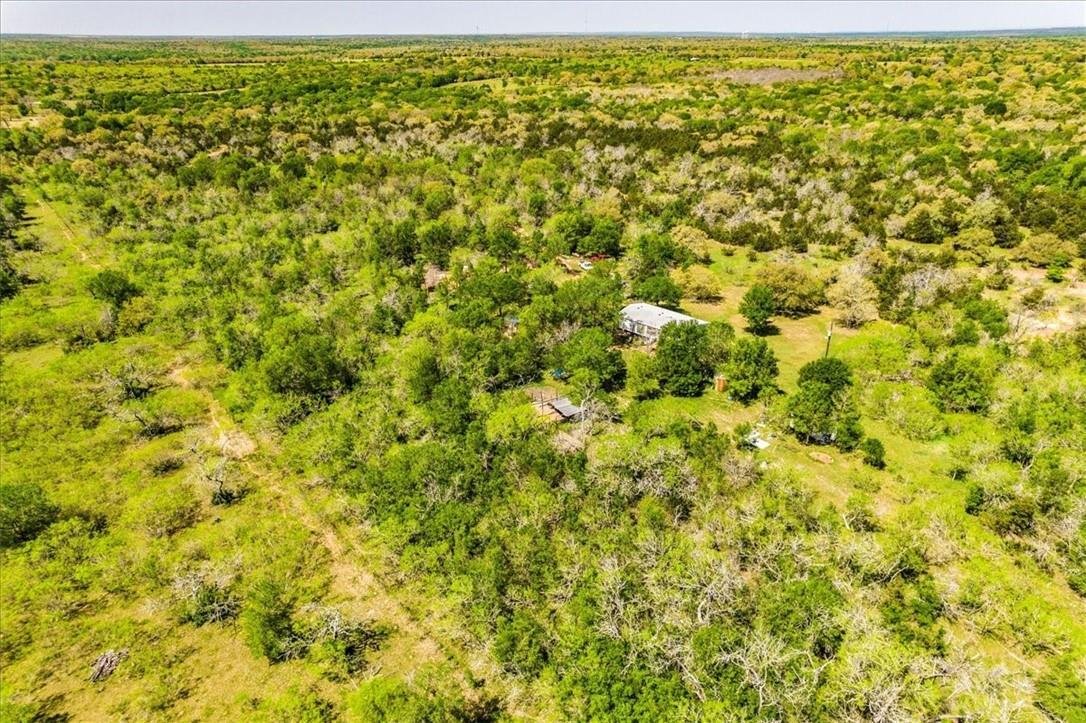Cedar Creek, Texas, United States 3 - 16590034