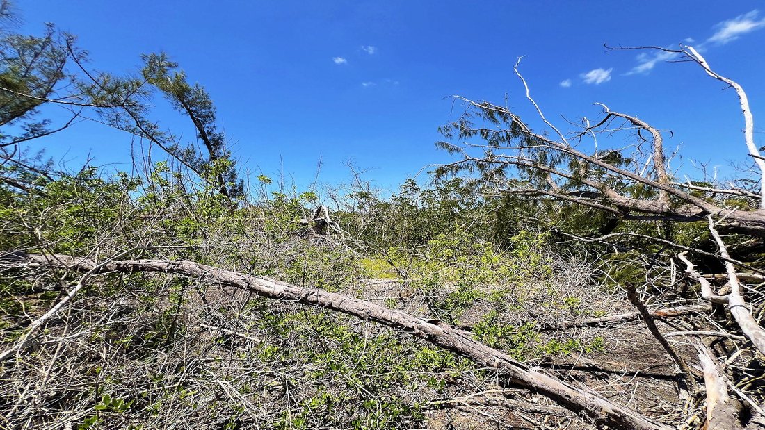 Land in Englewood, Florida, United States 4 - 16605379
