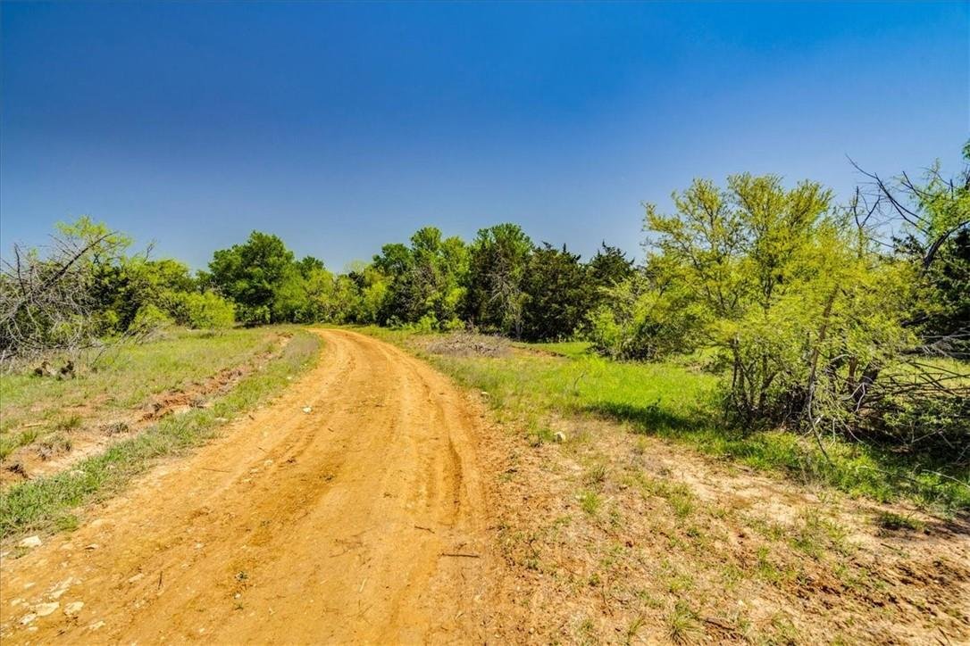 Cedar Creek, Texas, United States 1 - 16590034
