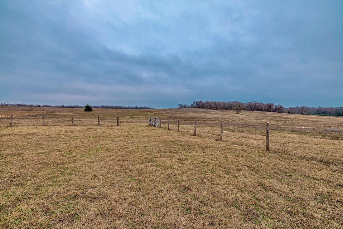 Cameron, Texas, United States 5 - 16590384