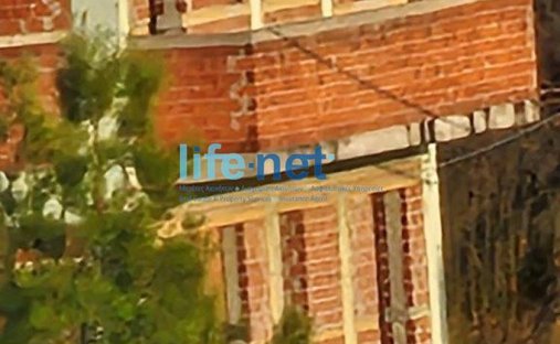 House in Oropos, Attica, Greece 1