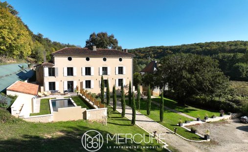 19 Th C. Chateau With Outbuildings And Pool