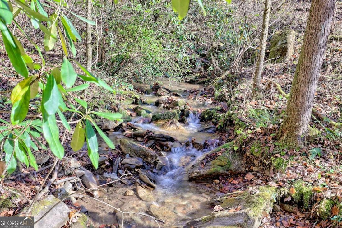 Hayesville, North Carolina, United States 2 - 16596136