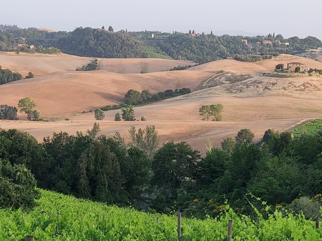 Land in Castelnuovo Berardenga, Tuscany, Italy 2 - 16583104