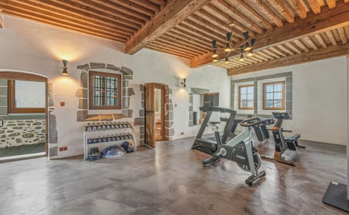 Castle for Sale in Saint-Julien-en-Genevois, Auvergne-Rhône-Alpes, France