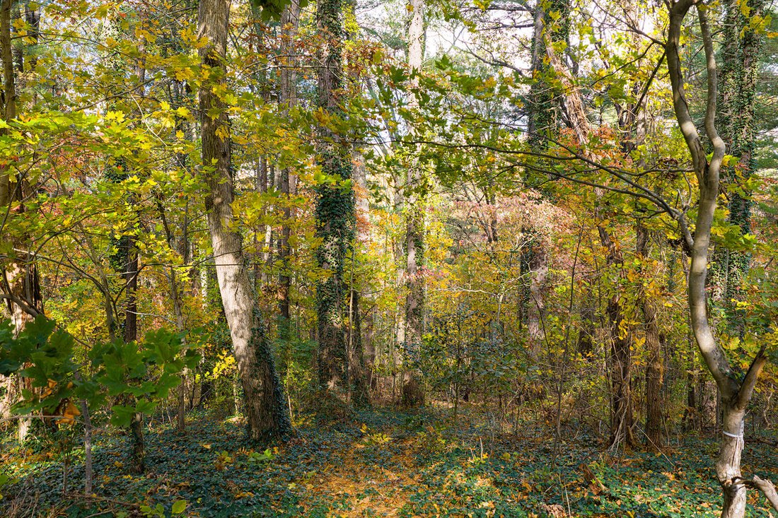 Land in Asheville, North Carolina, United States 1 - 16199867