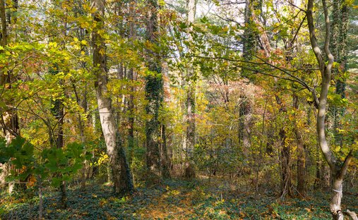 Land in Asheville, North Carolina, United States 1