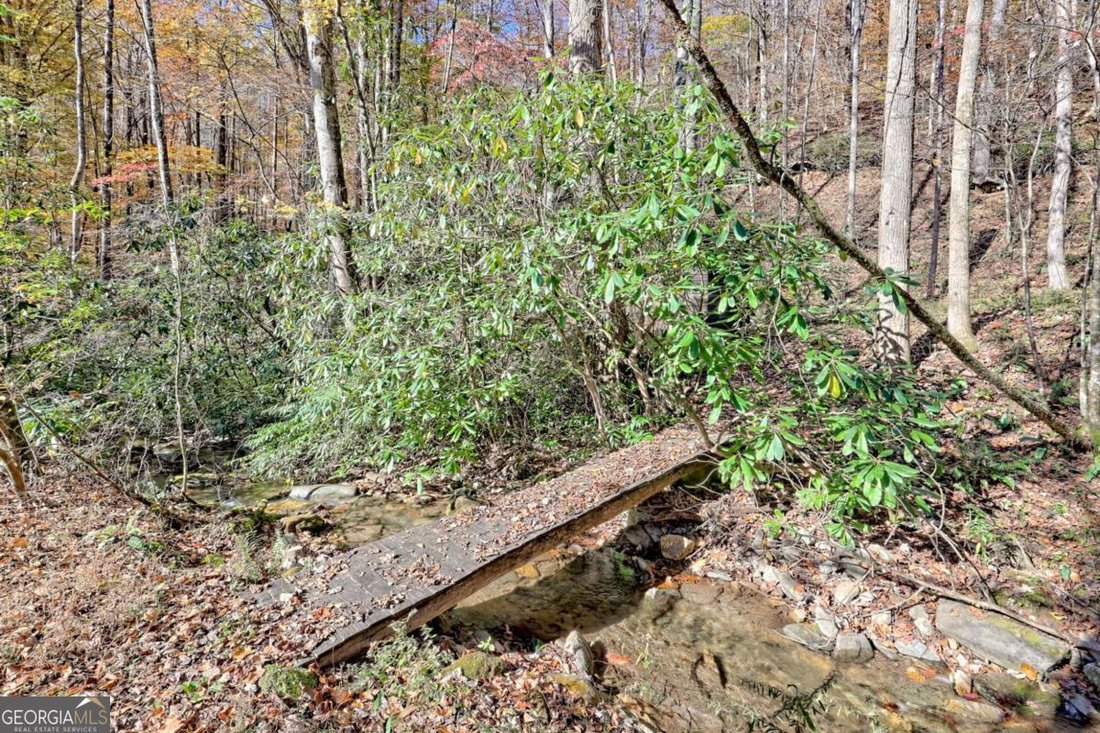 Hayesville, North Carolina, United States 5 - 16596136