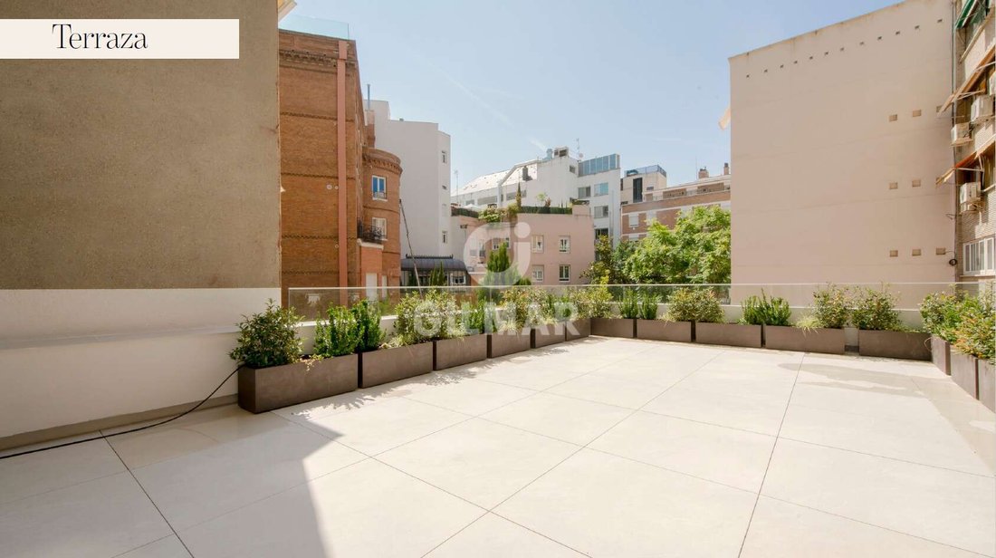 Apartment in Barrio Salamanca, Madrid, Spain 5 - 16479275