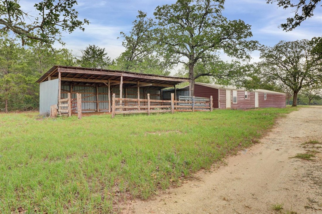 House in Smithville, Texas, United States 3 - 16590946