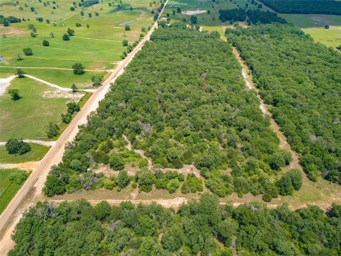 Cameron, Texas, United States 4 - 16590384