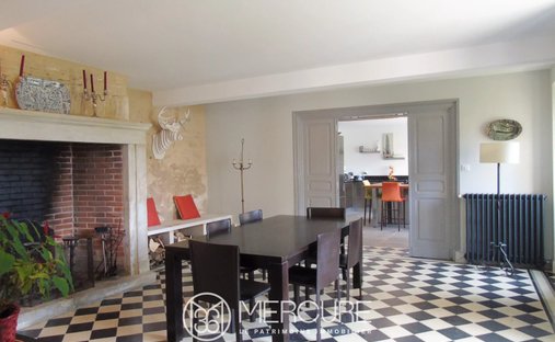 19 Th C. Chateau With Outbuildings And Pool