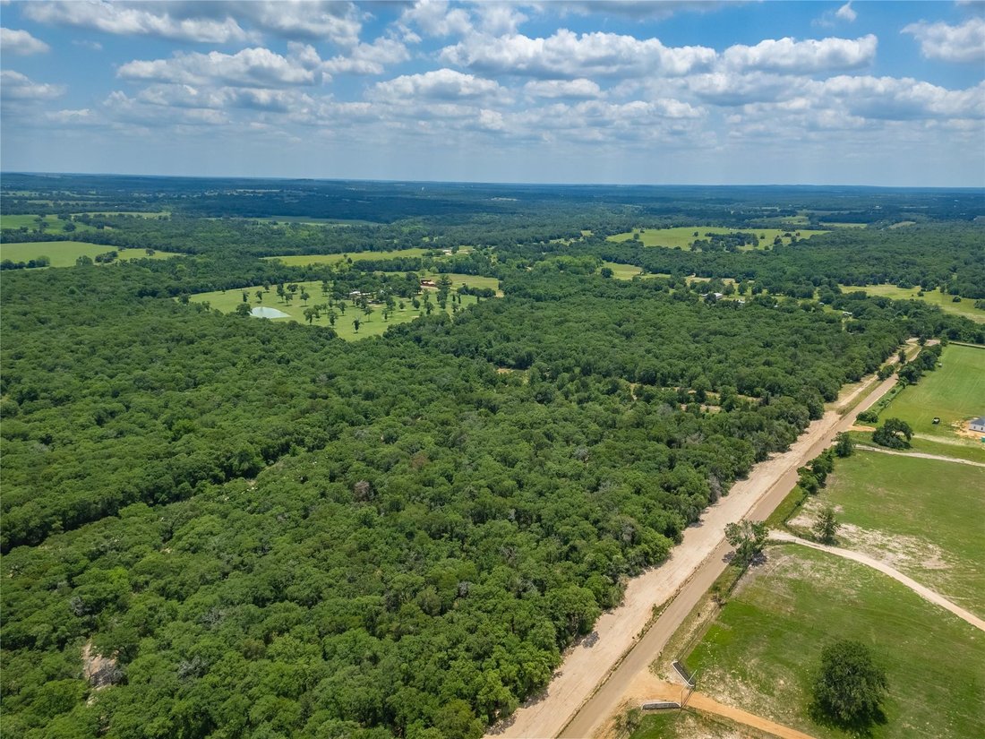 Cameron, Texas, United States 2 - 16590384