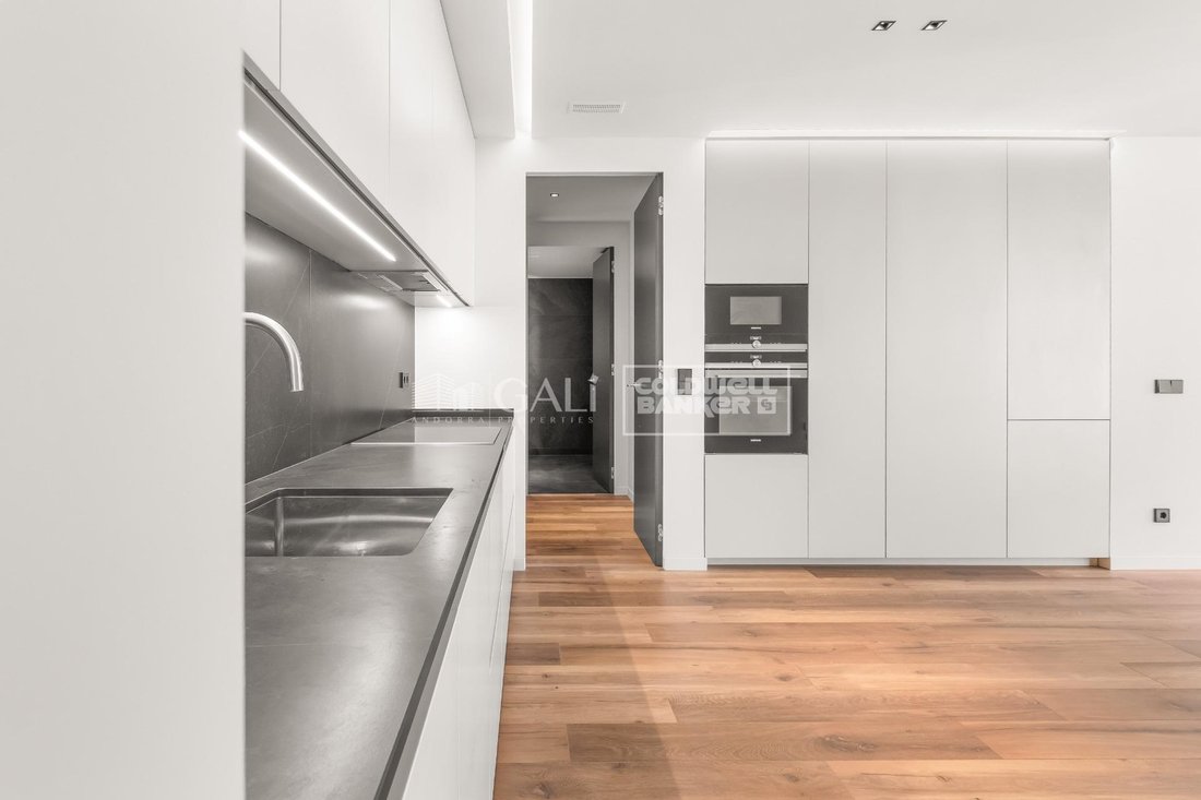 Apartment in Andorra la Vella, Andorra la Vella, Andorra 4 - 15109552