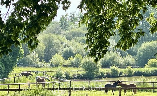 Castle for Sale in Argentan, Normandy, France
