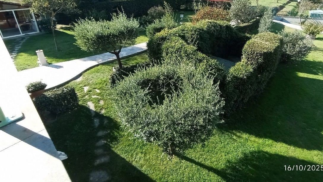 Villa in Camaiore, Tuscany, Italy 5 - 16582615
