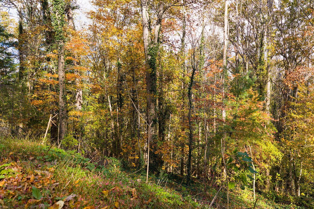 Land in Asheville, North Carolina, United States 3 - 16199867