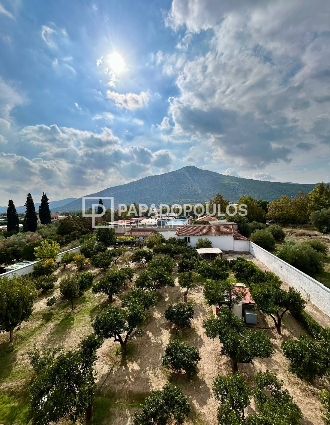 House in Marathonas, Attica, Greece 2 - 16606186