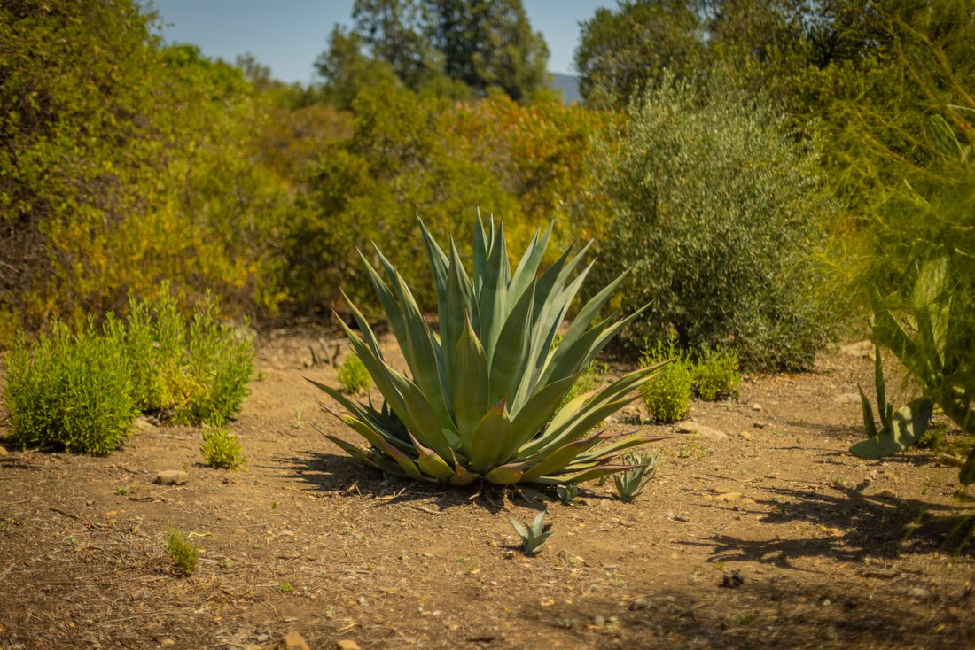 Land in Ojai, California, United States 3 - 16602524