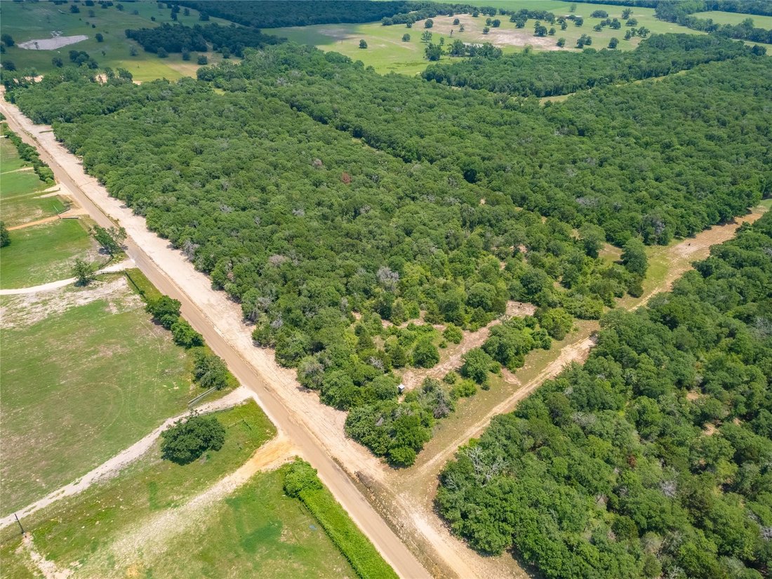 Cameron, Texas, United States 3 - 16590384