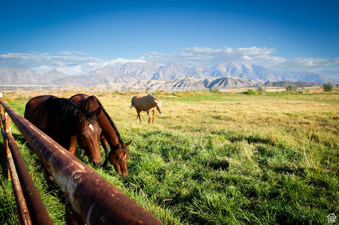 House in Goshen, Utah, United States 4 - 16592856