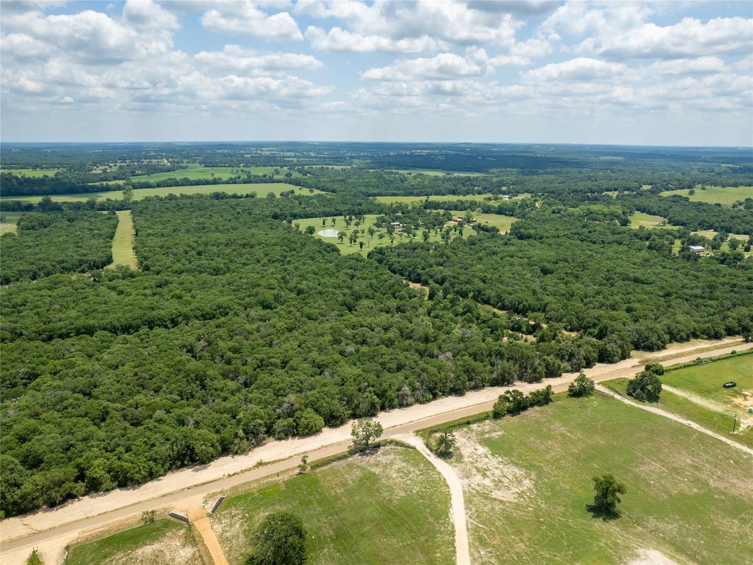 Cameron, Texas, United States 1 - 16590384