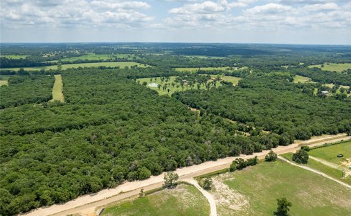 Cameron, Texas, United States 1