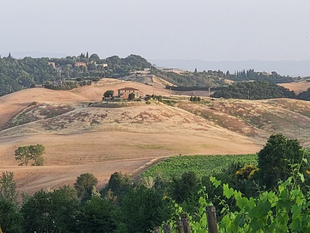 Land in Castelnuovo Berardenga, Tuscany, Italy 1 - 16583104