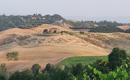 Terreno a Castelnuovo Berardenga, Toscana, Italia 1