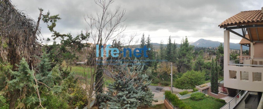 House in Dionysos, Attica, Greece 3 - 16582566