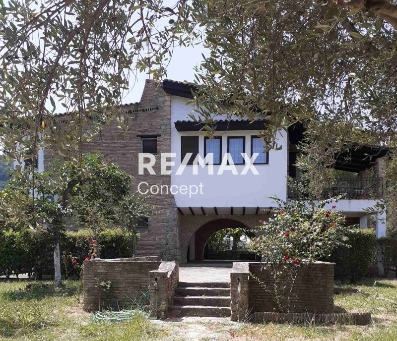 House in Mpoxalis, Peloponnese, Western Greece and the Ionian, Greece 5 - 16582024
