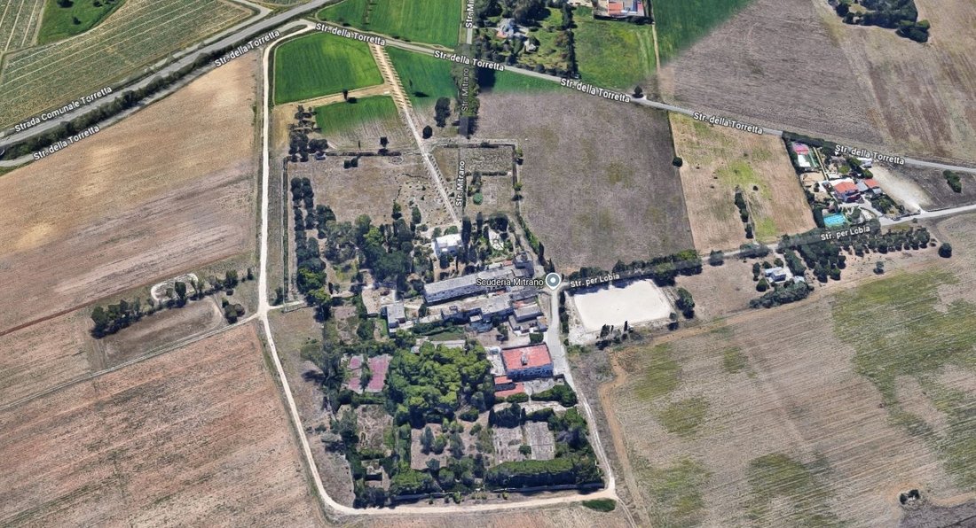 Finca a Minnuta - Paradiso, Brindisi, Puglia 4 - 16582690