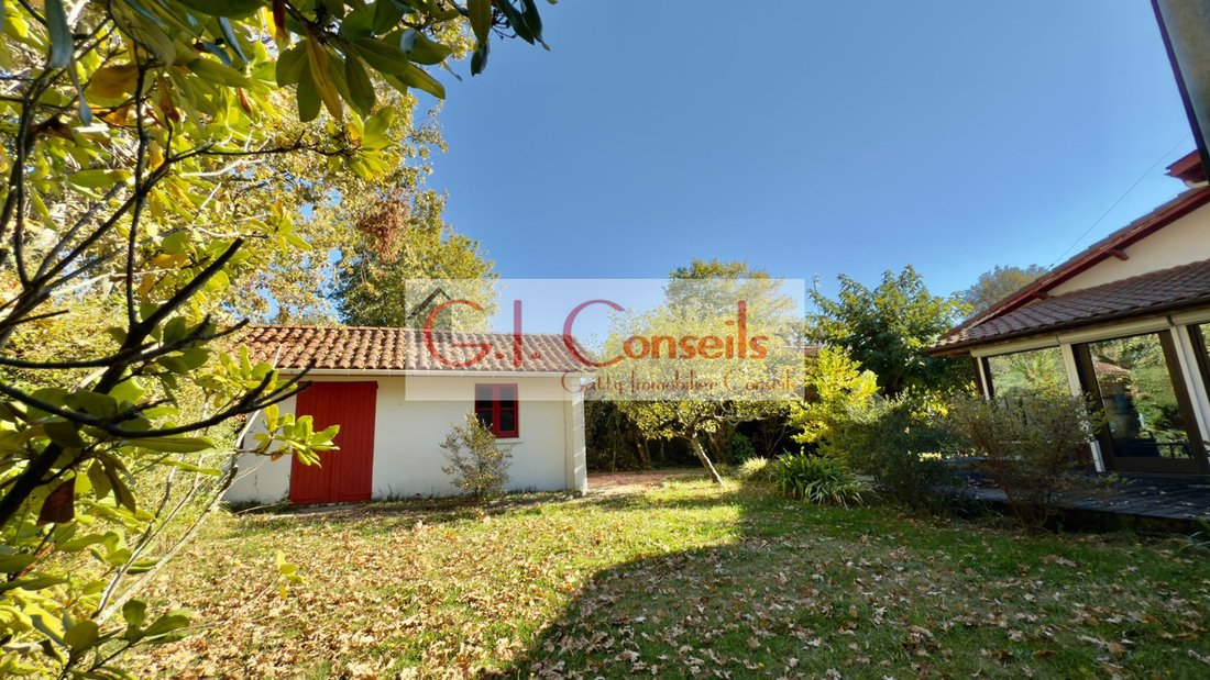 House in Nord Est, Andernos-les-Bains, France 3 - 16582356