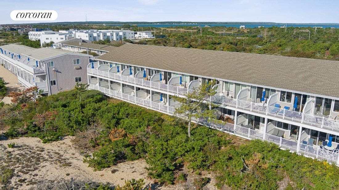 Co Op in Amagansett, New York, United States 5 - 16279597