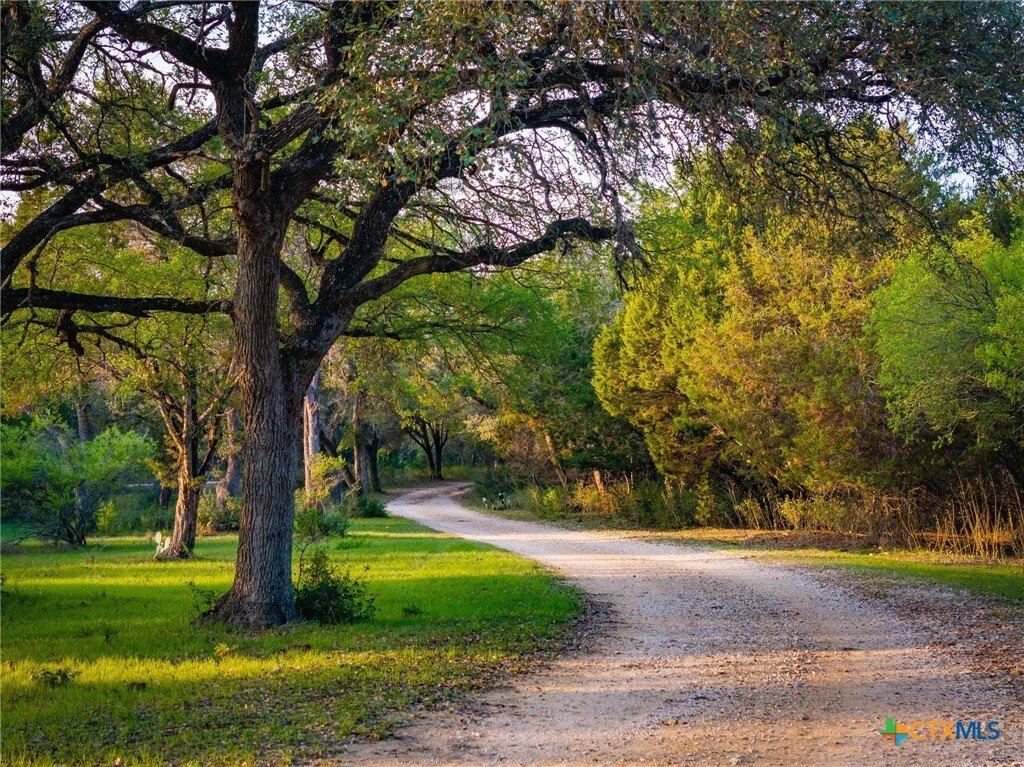 House in New Braunfels, Texas, United States 3 - 16584644