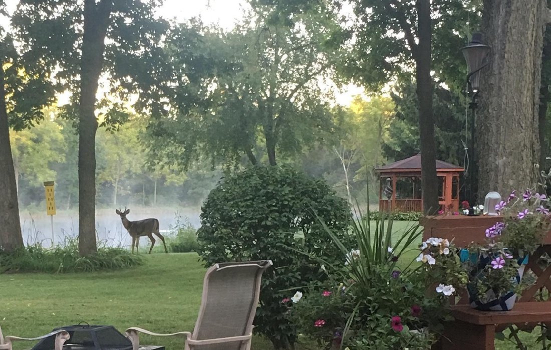 House in Rockford, Illinois, United States 4 - 16587034