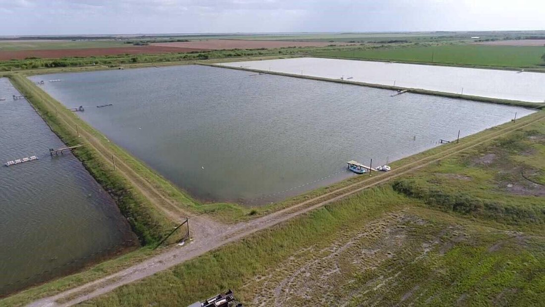 House in Ranchette Estates, Texas, United States 1 - 16590472