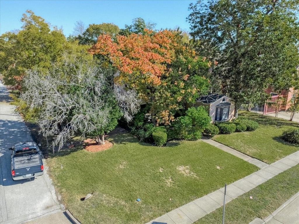 Houston, Texas, United States 4 - 16591351