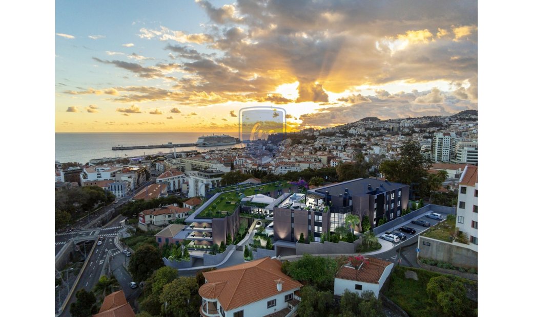 Luxury Apartment Living Funchal 4