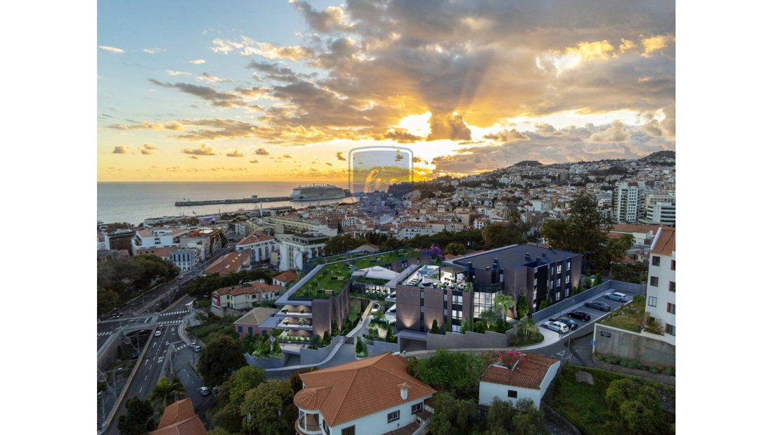 Apartment in Santa Luzia, Madeira, Portugal 1 - 16600767