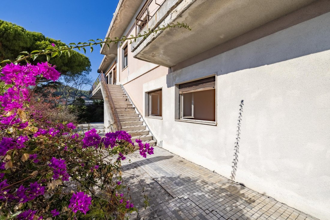 Villa in Bordighera, Liguria, Italy 3 - 16606798