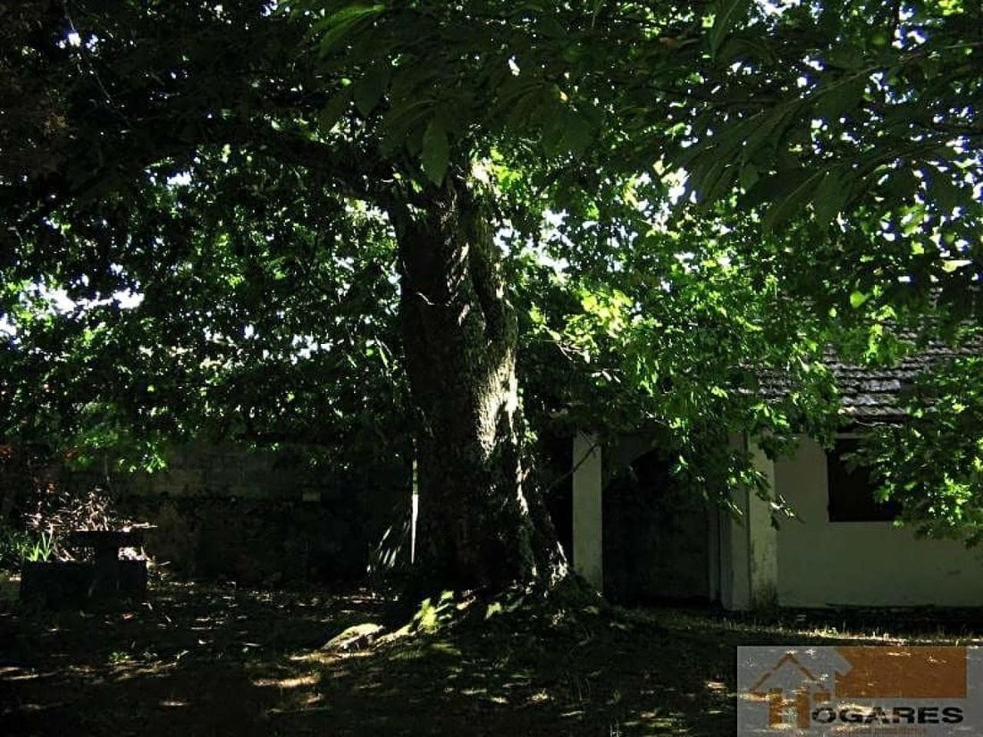 Villa in Saians, Vigo, Spain 5 - 16606678