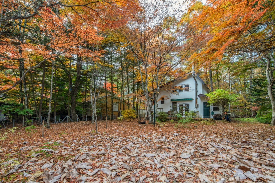 Land in Karuizawa, Nagano, Japan 3 - 16566440
